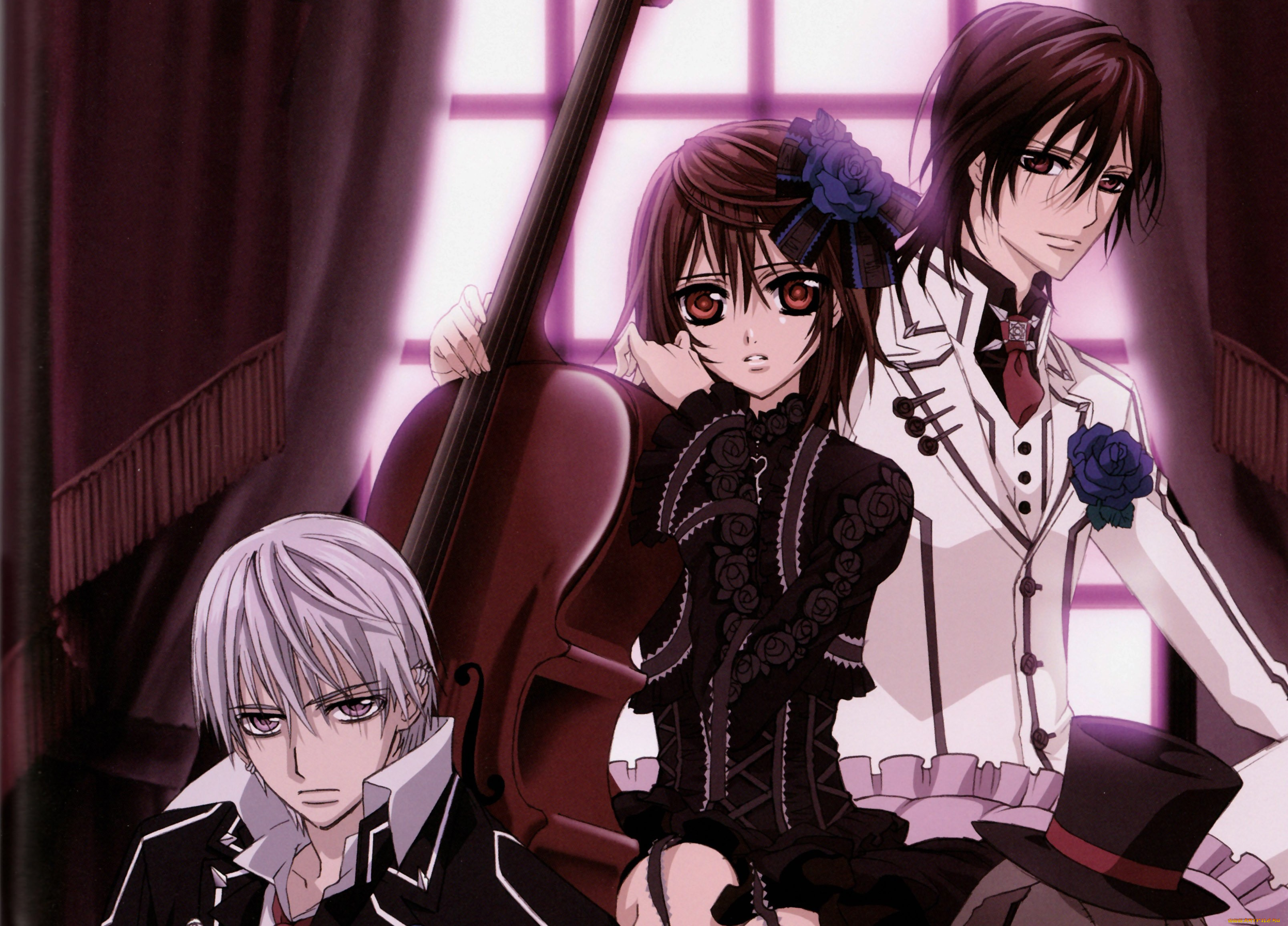 , vampire knight, 